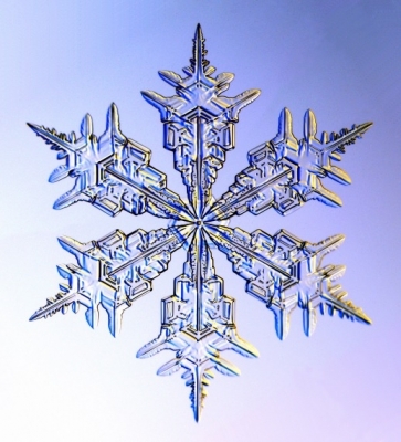 Snowflakes_30
