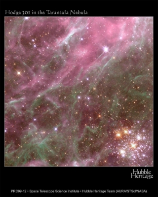 Звездное скопление Hodge 301 в туманности Tarantula
